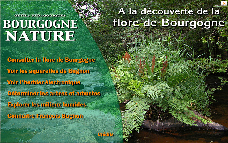 Bourgogne Nature : Flore de Bourgogne